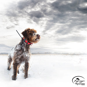 SportDOG TEK 2.0 Location System