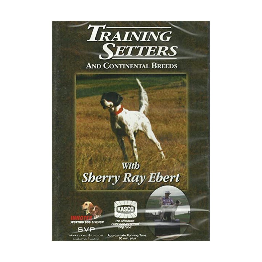 White Dog Productions Training Setters and Continental Breeds – Hunting Dog Supply