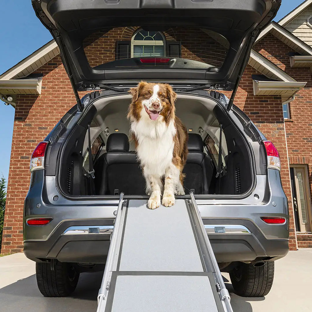 Top paw deluxe telescoping pet ramp reviews hotsell
