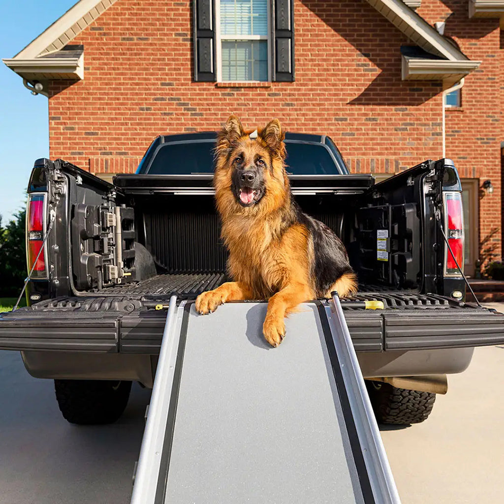 Petsmart telescoping dog ramp top
