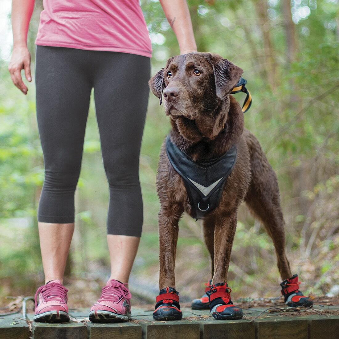 Dog wearing Kurgo Blaze Cross Dog Boots for protection against snow and rough terrain.