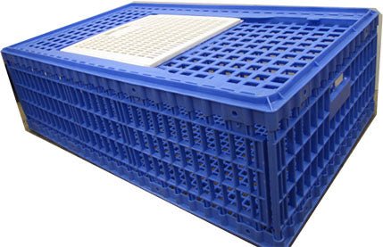 Kuhl Corporation LCS Plastic Pheasant-Duck Crate – Hunting Dog Supply