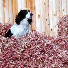 Red Cedar Bedding 12x12x14 Box Dog Bedding