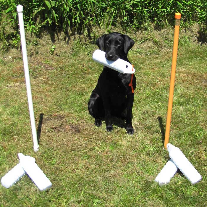 Lion Country Supply LCS Safety Lining Poles – Hunting Dog Supply