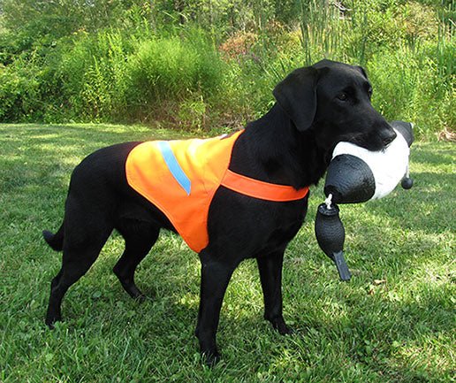 Lion Country Supply Lion Country Supply Dog Safety Vest – Hunting Dog Supply